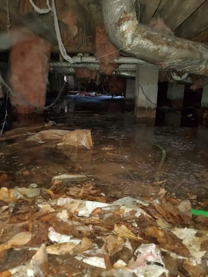 Crawl space flood assessment for Leak Detection & Repair in Fort Madison